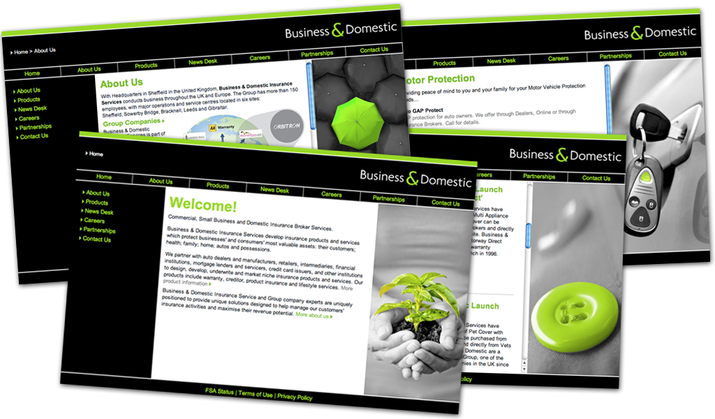 Business & Domestic Web Pages